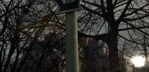 Pineview Drive - wersja cyfrowa